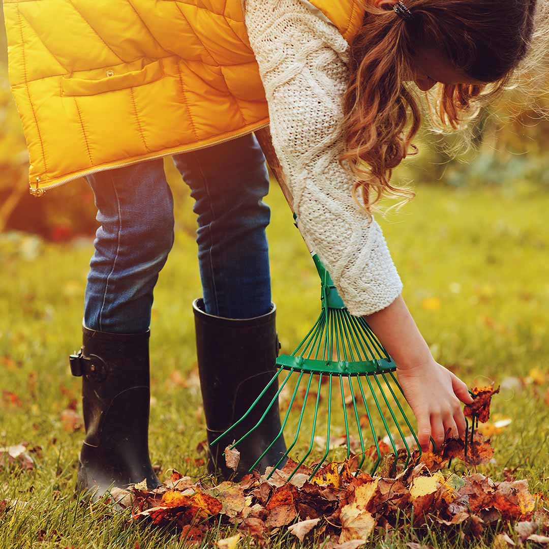 Frau rächt Laub im Garten