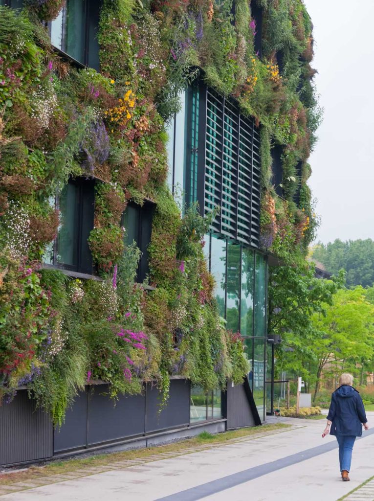 Bepflanzte Fassade