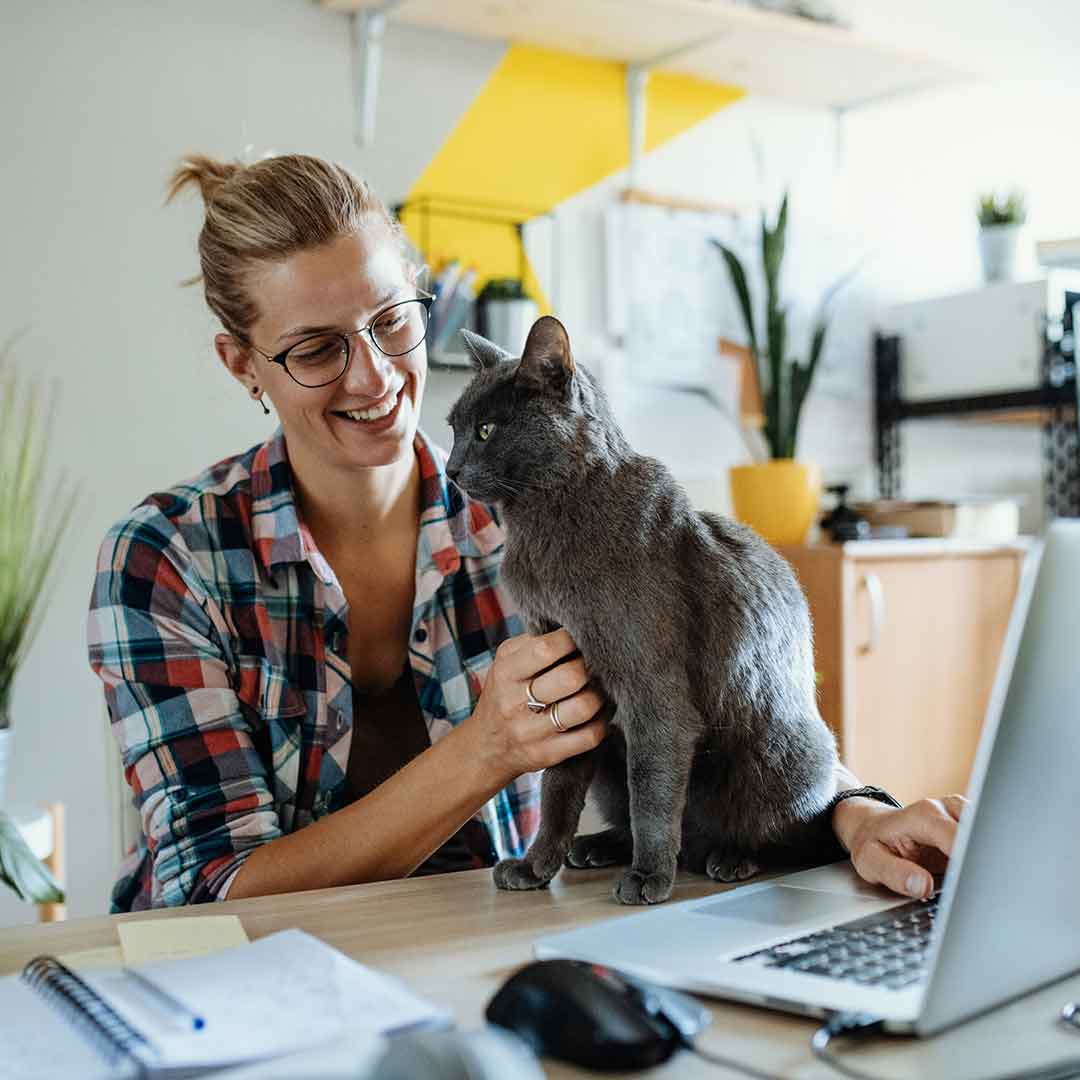Junge Frau sitzt gemeinsam mit ihrer Katze vor ihrem Laptop im Home Office
